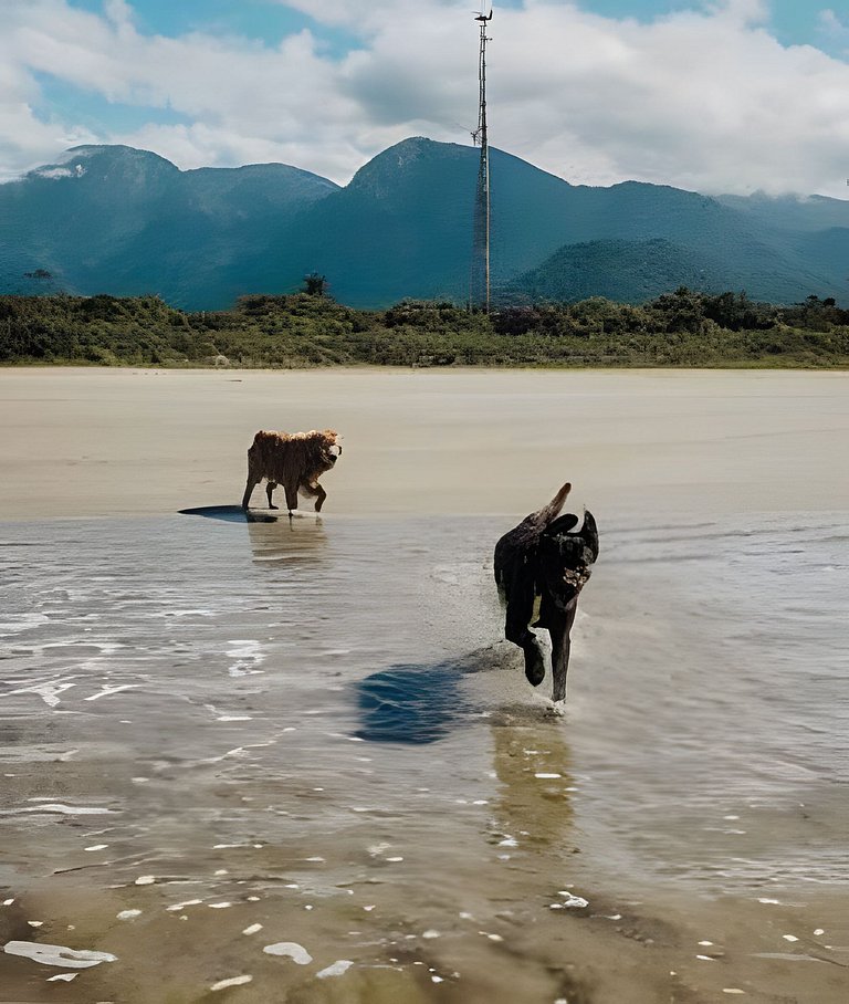 Casinha 1 | Com piscina a 100m da praia